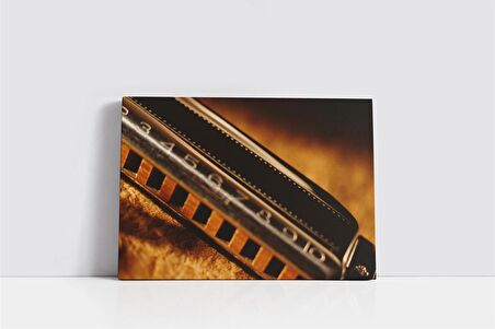 Mızıka Kanvas Tablo