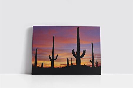 Gün Batımı ve Kaktüs Kanvas Tablo