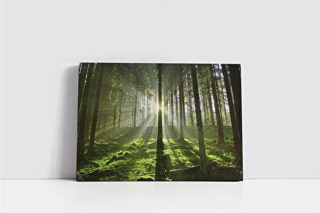 Güneş ve Yeşil Doğa Kanvas Tablo