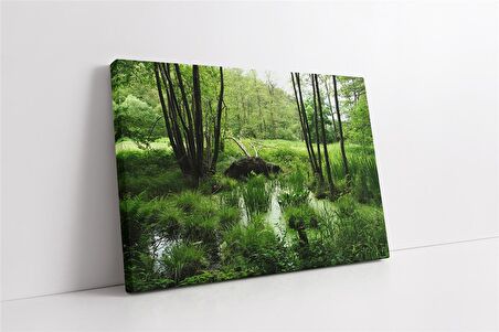 Sulak ve Yeşil Doğa Kanvas Tablo