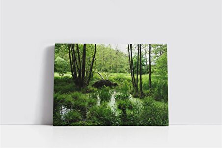 Sulak ve Yeşil Doğa Kanvas Tablo