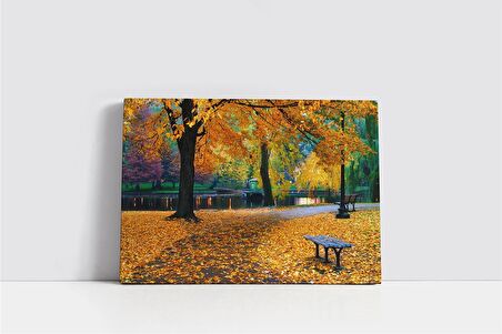 Sonbahar Yaprakları ve Park Kanvas Tablo