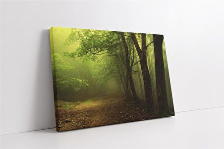 Sisli Orman Kanvas Tablo