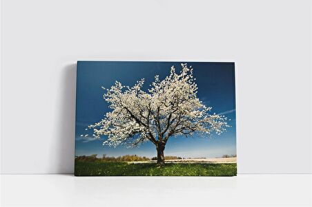 Beyaz Gelincikli Ağaç Kanvas Tablo