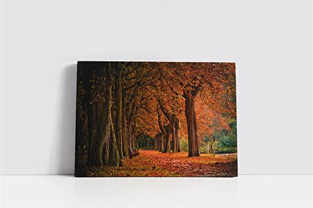 Park Kanvas Tablo