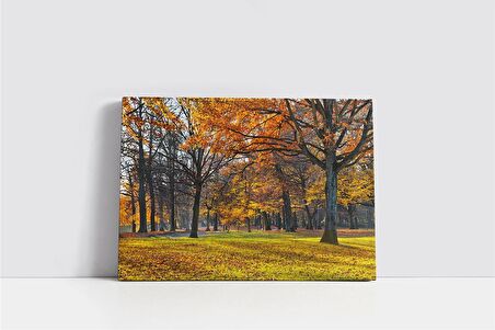 Sonbahar Kanvas Tablo