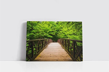 Derinliğe Giden Köprü Kanvas Tablo