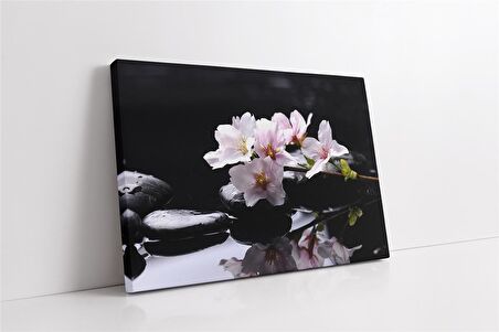 Spa Taşları Kanvas Tablo