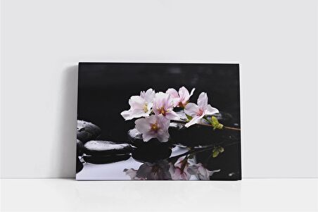 Spa Taşları Kanvas Tablo