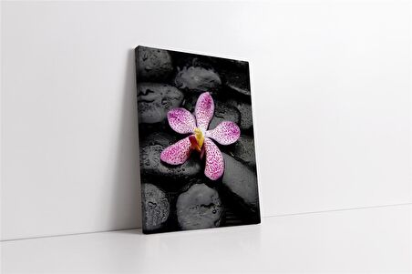 Spa Taşları ve Orkide Kanvas Tablo