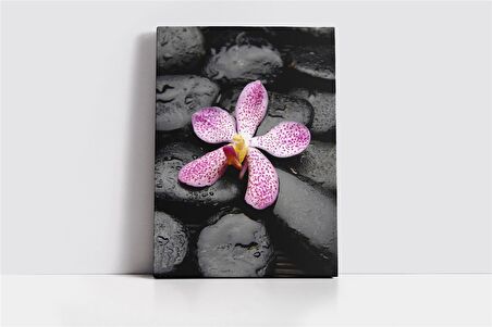 Spa Taşları ve Orkide Kanvas Tablo