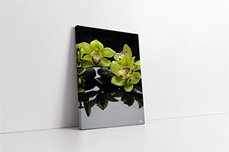 Spa Taşları ve Orkide Kanvas Tablo