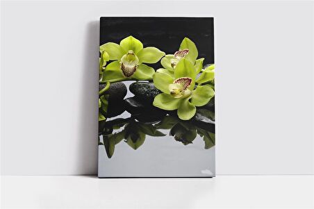 Spa Taşları ve Orkide Kanvas Tablo