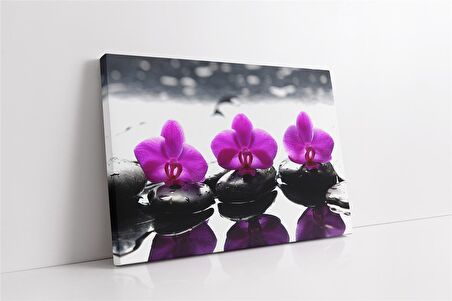 Spa Taşları ve Orkide Kanvas Tablo