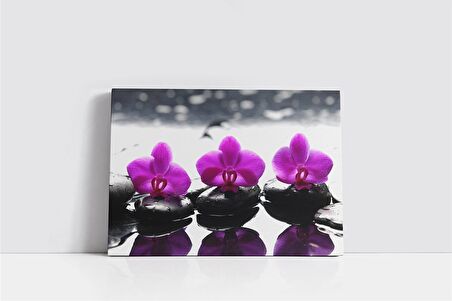 Spa Taşları ve Orkide Kanvas Tablo