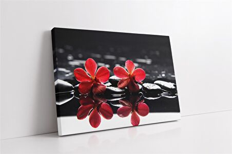 Spa Taşları ve Orkide Kanvas Tablo