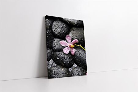 Spa Taşları ve Orkide Kanvas Tablo
