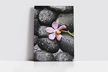 Spa Taşları ve Orkide Kanvas Tablo