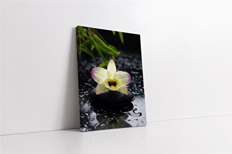 Spa Taşları ve Orkide Kanvas Tablo