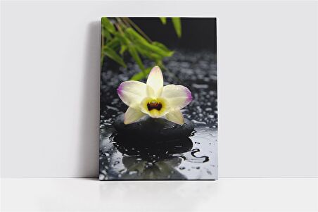 Spa Taşları ve Orkide Kanvas Tablo