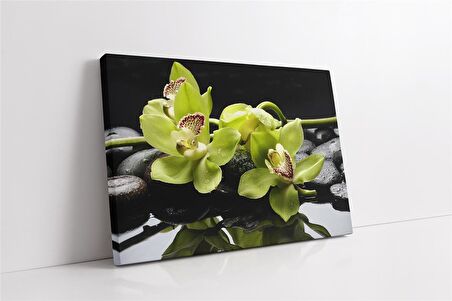 Spa Taşları ve Orkide Kanvas Tablo