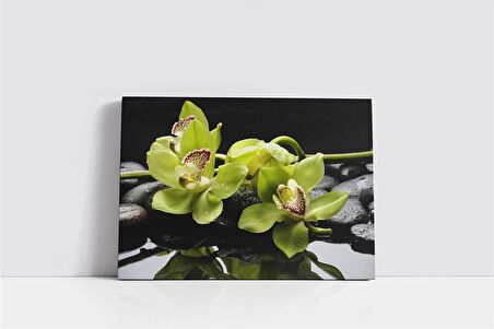 Spa Taşları ve Orkide Kanvas Tablo
