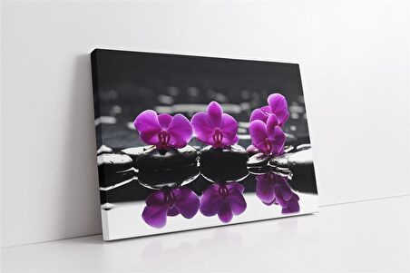 Spa Taşları ve Orkide Kanvas Tablo