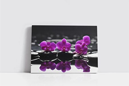 Spa Taşları ve Orkide Kanvas Tablo