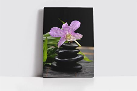 Spa Taşları ve Orkide Kanvas Tablo