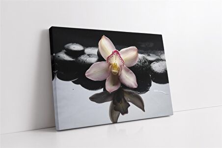 Spa Taşları ve Orkide Kanvas Tablo