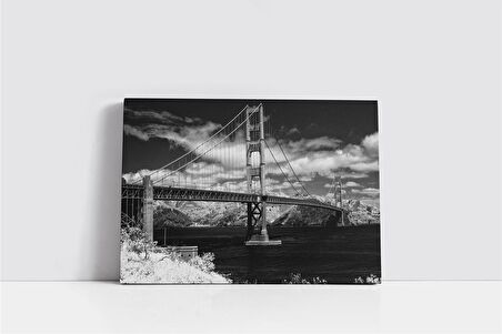 Siyah Beyaz Amerika Kanvas Tablo