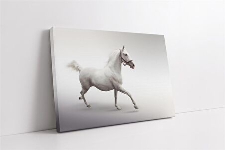 Koşan Beyaz At Kanvas Tablo