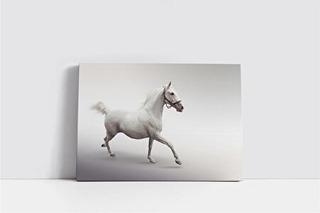 Koşan Beyaz At Kanvas Tablo