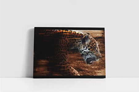 Vahşi Doğa Kaplan Kanvas Tablo