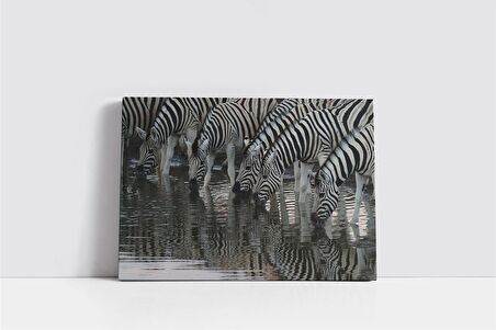 Zebra Sürüsü Kanvas Tablo