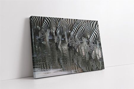 Zebra Sürüsü Kanvas Tablo