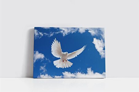 Beyaz Güvercinler Kanvas Tablo