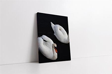 Beyaz Kuğu Kanvas Tablo