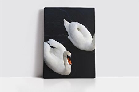 Beyaz Kuğu Kanvas Tablo