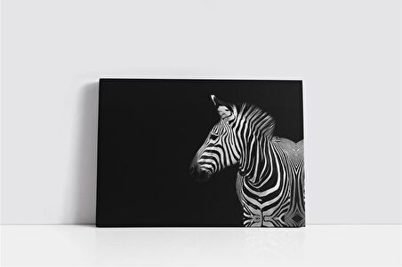 Zebra Kanvas Tablo