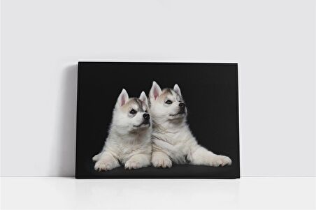 Beyaz Köpek Kanvas Tablo