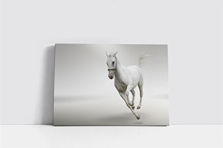 Koşan Beyaz At Kanvas Tablo