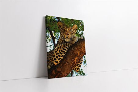 Vahşi Doğa Kaplan Kanvas Tablo
