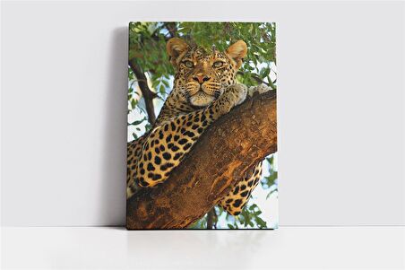 Vahşi Doğa Kaplan Kanvas Tablo