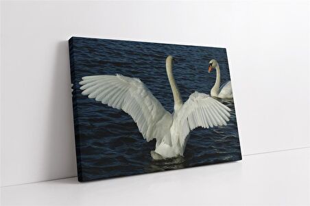 Beyaz Kuğu Kanvas Tablo