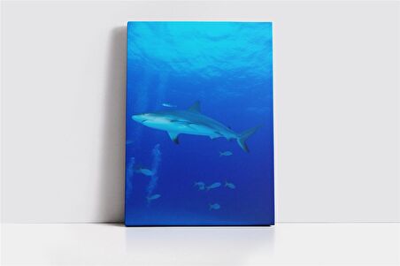 Köpek Balığı Kanvas Tablo