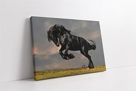 Şaha Kalkmış At Kanvas Tablo