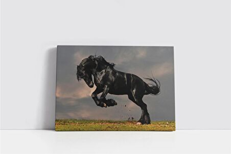 Şaha Kalkmış At Kanvas Tablo