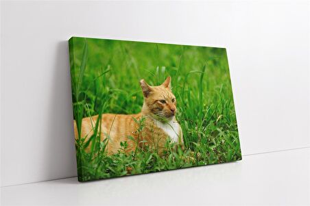 Kedi Kanvas Tablo
