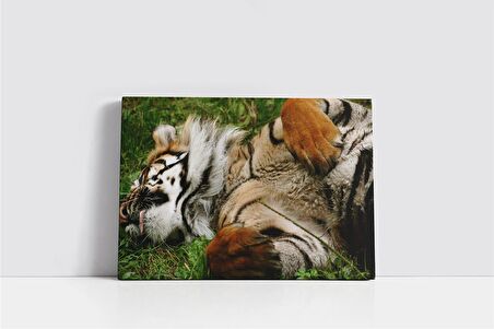 Vahşi Doğa Kaplan Kanvas Tablo